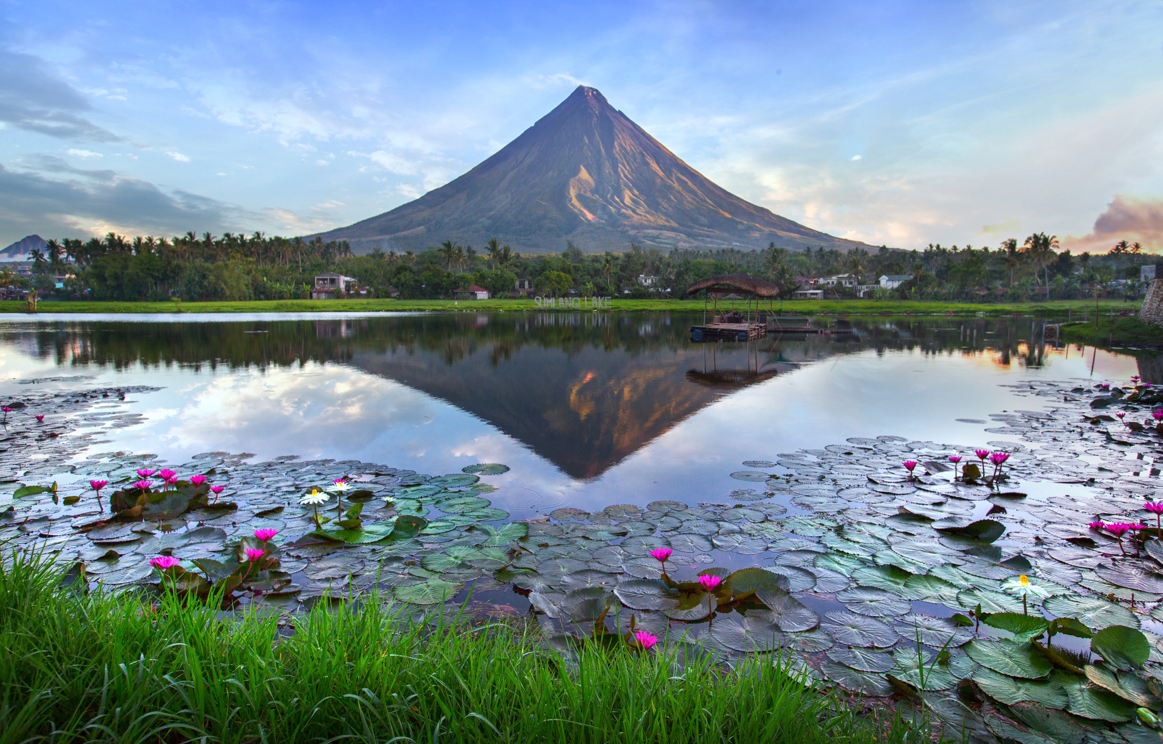 Bohol